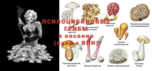 ешки Абаза