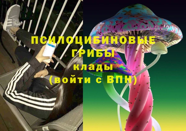 ешки Абаза